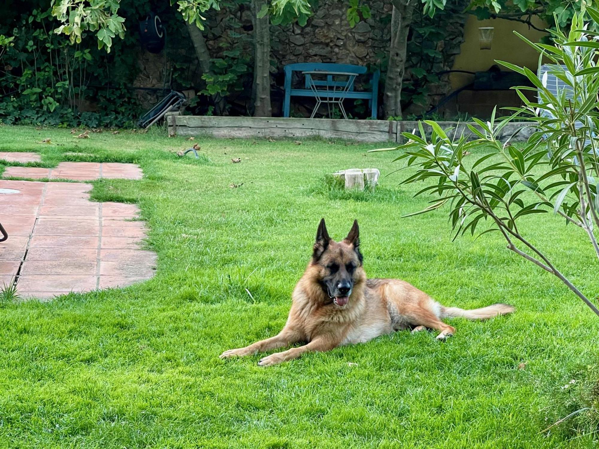 Santa Caterina - Dog Friendly With Garden Villa Sobrestany Exterior photo
